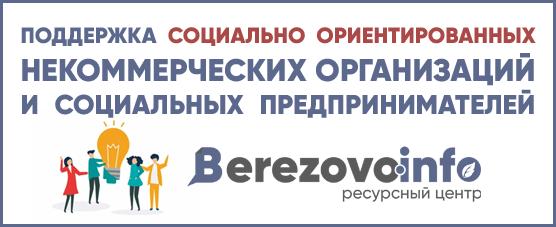 Поддержка СОНКО и соцпредпринимателей
